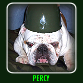 PERCY