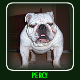 PERCY